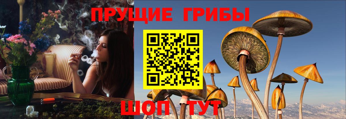 Галлюциногенные грибы ЛСД Глазов
